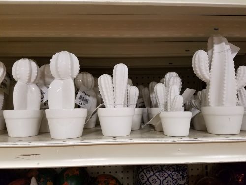 cactus ceramic decoration