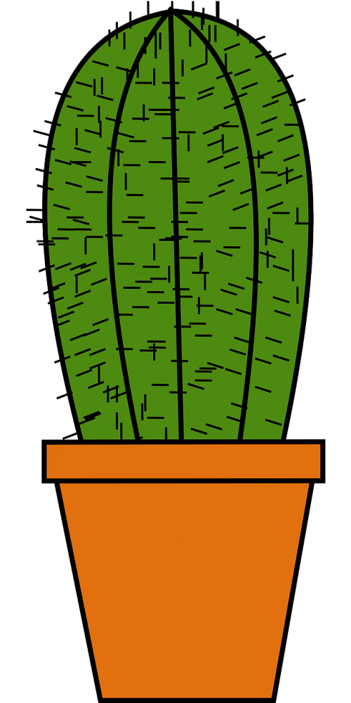 cactus clay pot green