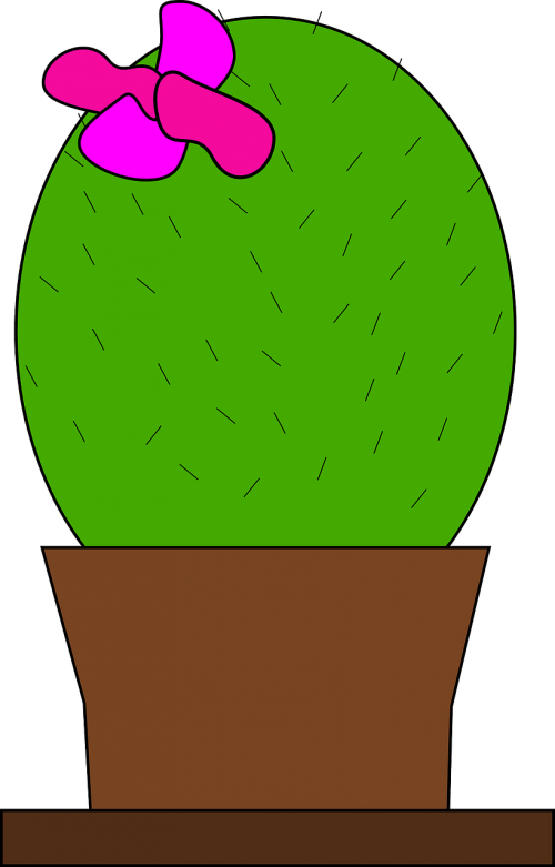 cactus plant pot