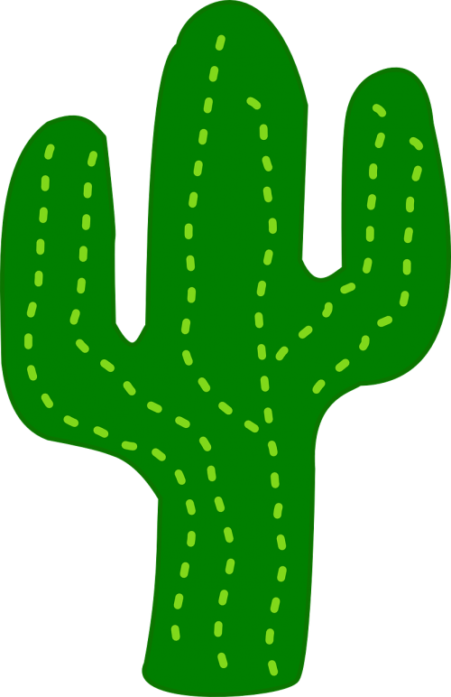 cactus flora desert