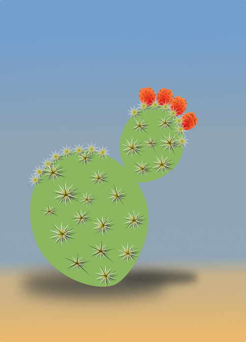 cactus desert dry
