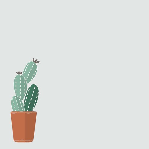 cactus  background  green