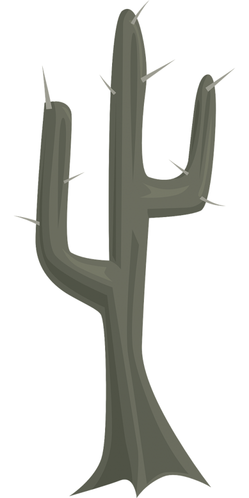 cactus vegetation plant