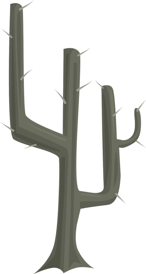 cactus plant natural