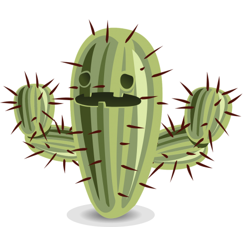 cactus prickly nature