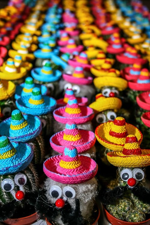 cactus mexico hats