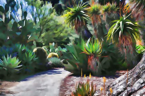 Cactus Garden