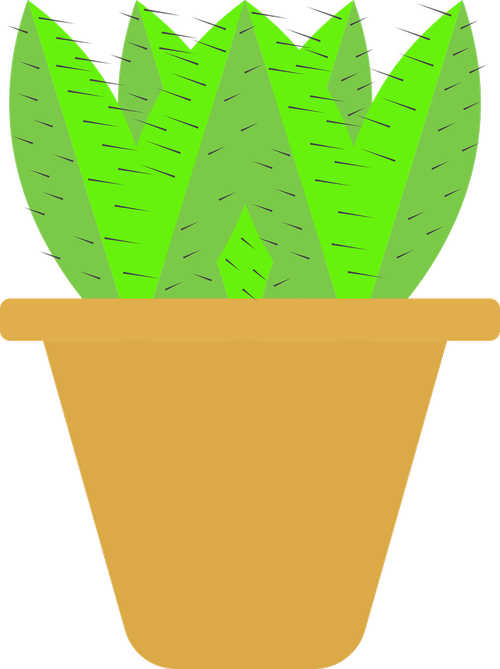 cactus plant  plant  desert plant