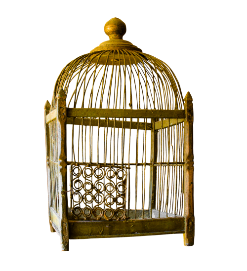 cage gold gilded