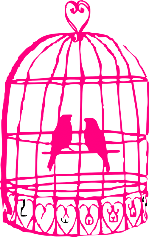 cage birds animals