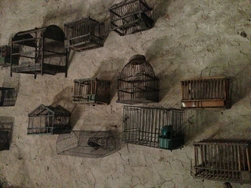 cages collection wall