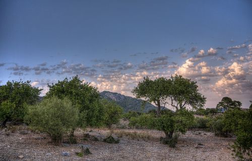 caimari mallorca nature