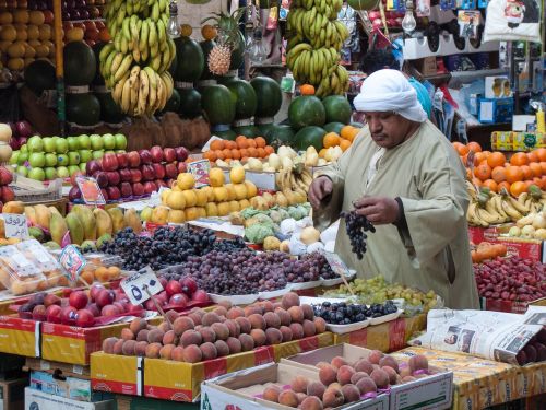 cairo fruit fruits plants