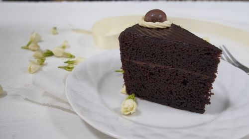 cake slices chocolate cake