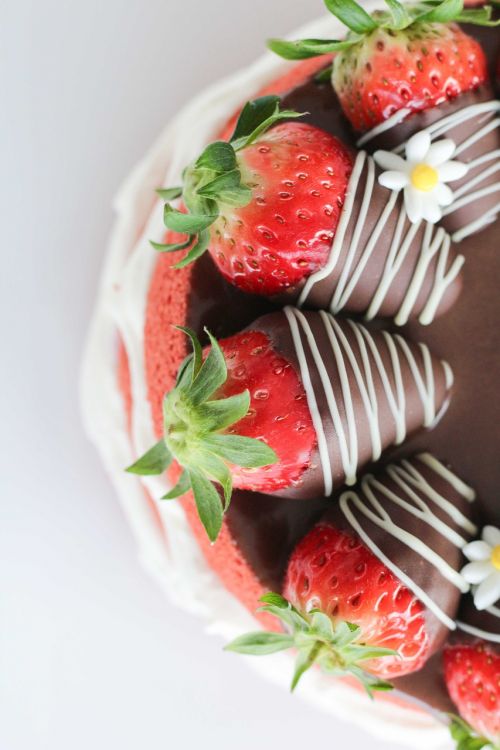 cake strawberry dessert