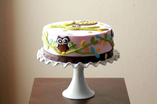 cakes baby shower owls