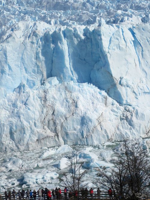 calafate ice patagonia