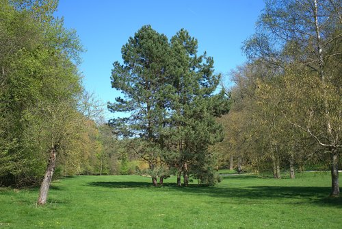 calden  wilhelmsthal  park