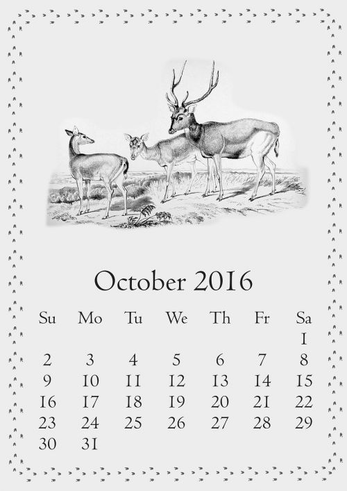 calendar october 2016