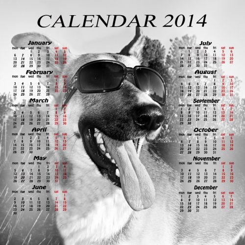 Calendar 2014