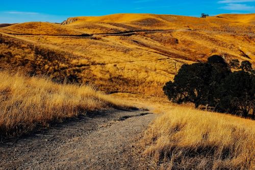 california landscape hills