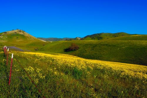 california landscape scenic