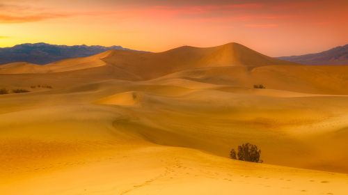 california desert sand