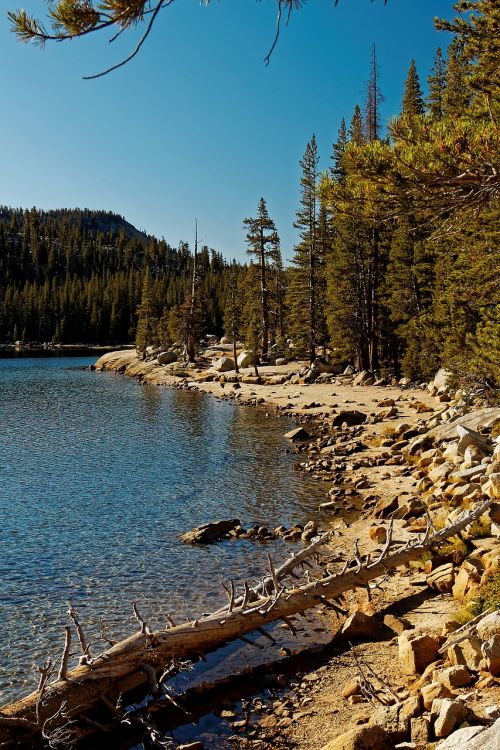 california yosemite lake