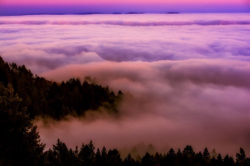 california sunrise fog