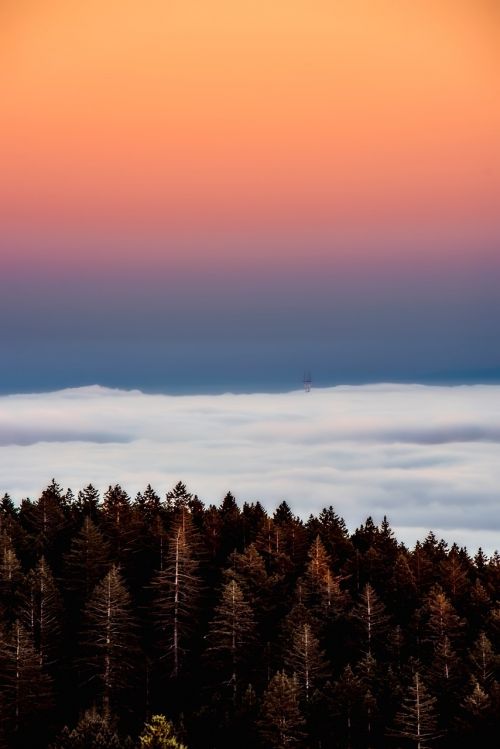 california sunrise landscape