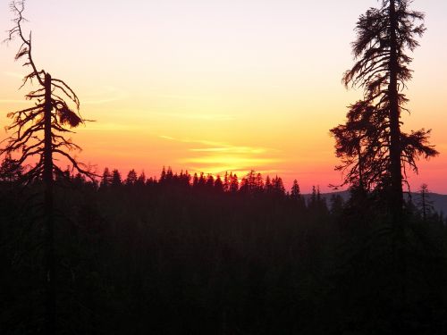 california sunset silhouettes