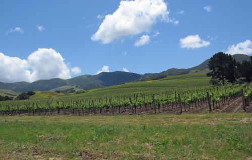 california santa ynez valley landscape