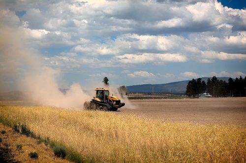 california rural farm