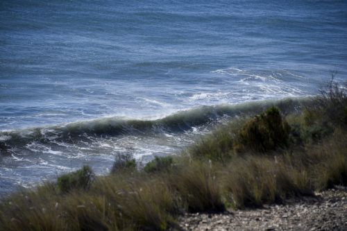 California Beach Waves