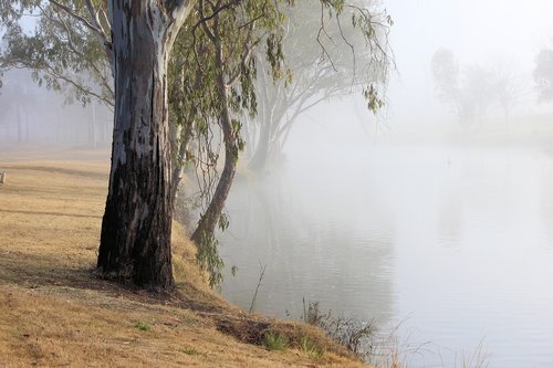 calm  tranquil  river