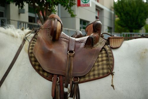 camargue horse saddle