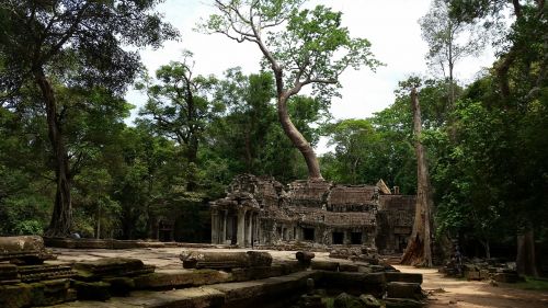 cambodia temple roots