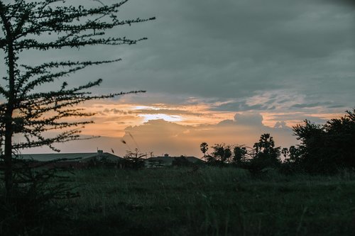 cambodia  sunset  landscape