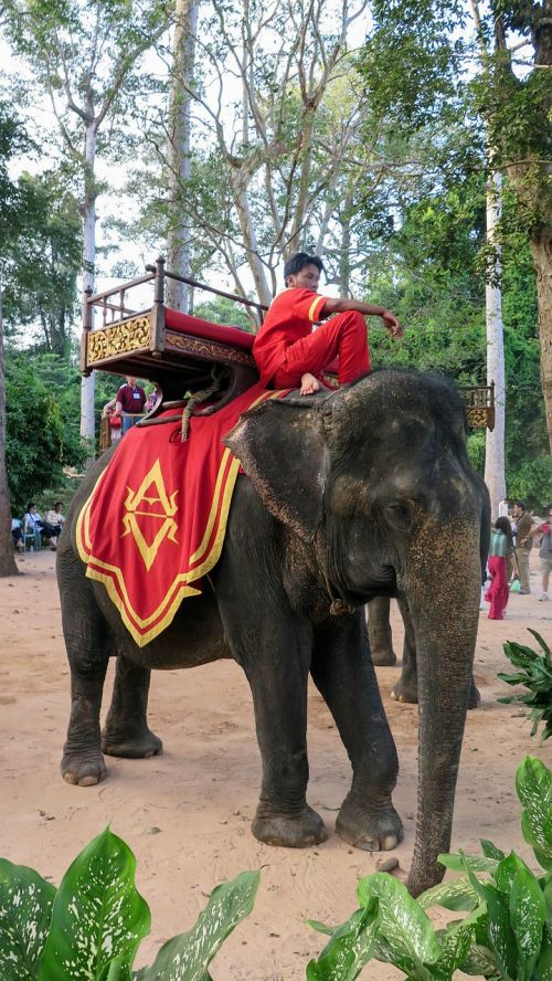 cambodia angkor temple