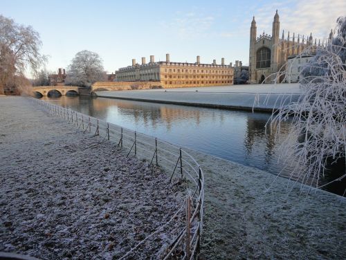 cambridge frost zmrożony