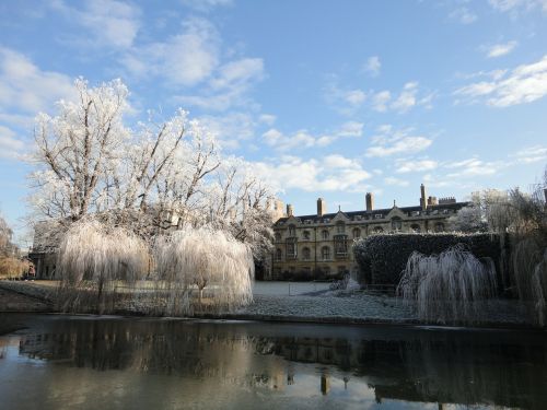 cambridge frost zmrożony