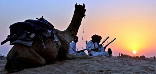 camel trekking desert