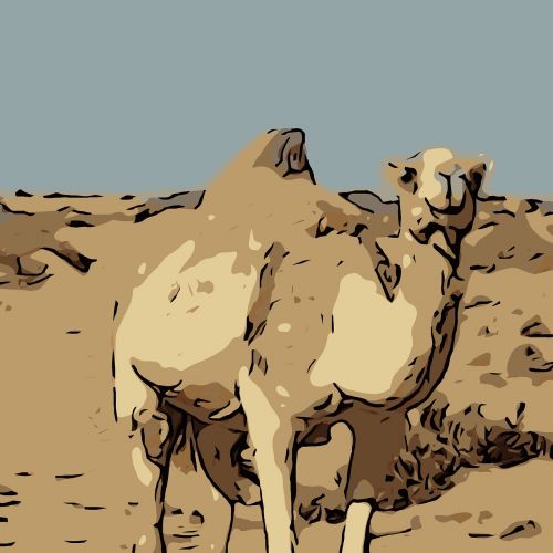 camel drawing desert