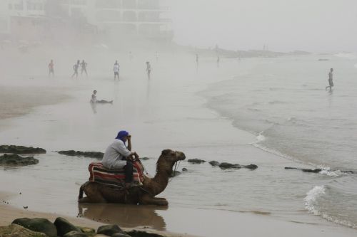 camel beach fog
