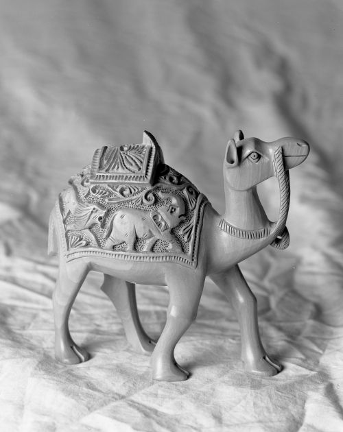 camel black and white figure