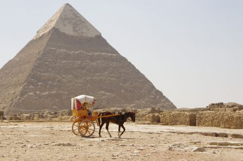 camel desert pyramid