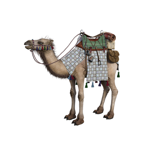 camel  hump  desert