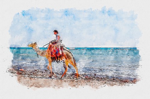 camel  beach  image