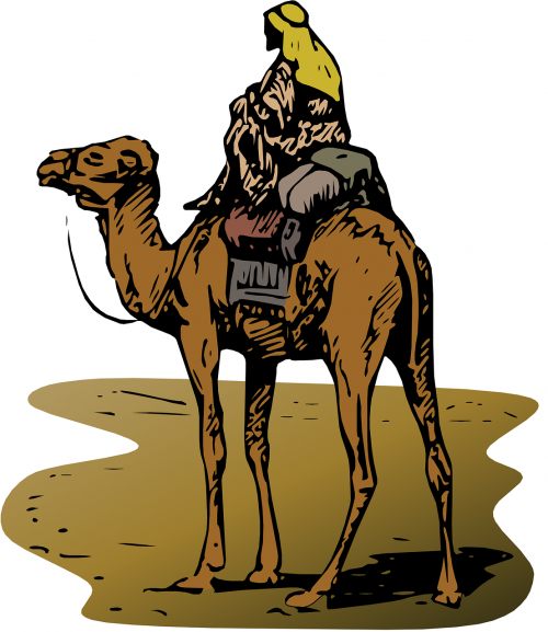 camel sand animal