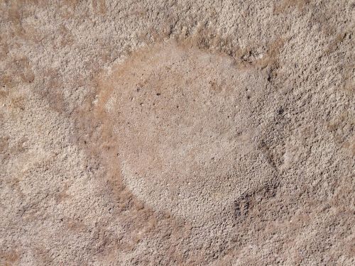 camel footprint sand